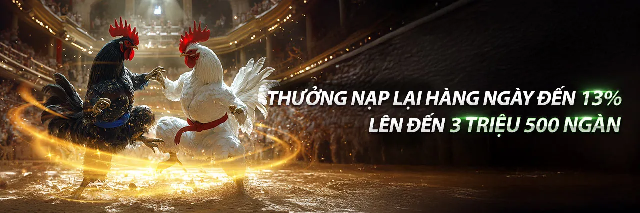 Đá Gà Trực Tuyến Goo88d Nổ Hũ - Sân đấu gà kịch tính